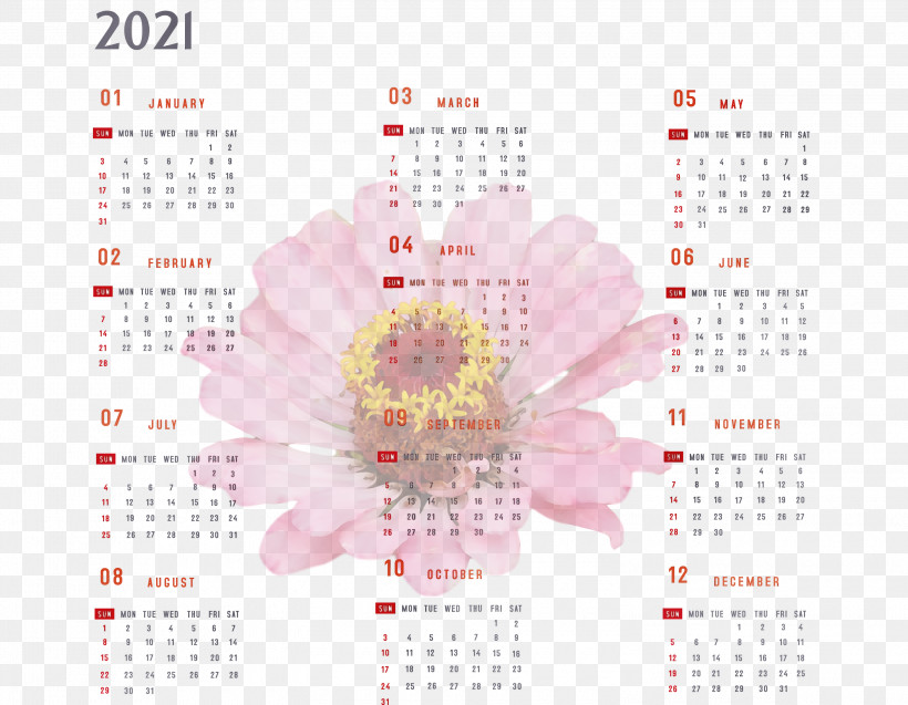 Petal Flower Meter Calendar System, PNG, 3000x2331px, 2021 Calendar, Year 2021 Calendar, Calendar System, Flower, Meter Download Free
