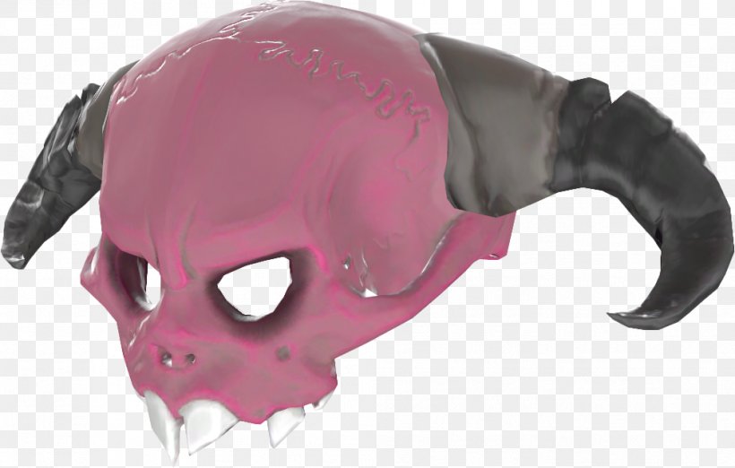 Skull, PNG, 1006x641px, Skull, Bone, Jaw, Snout Download Free