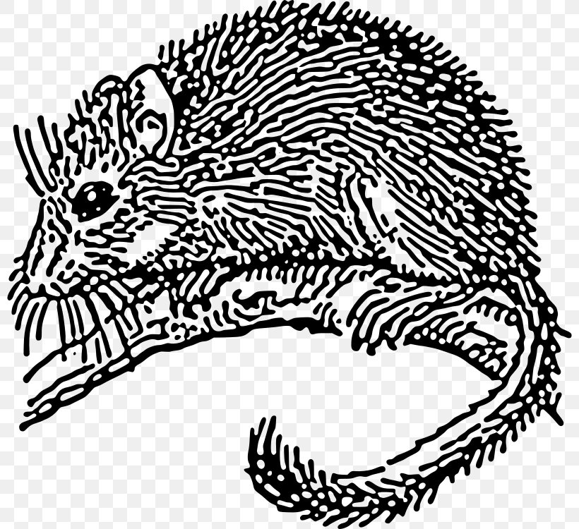 Dormouse Rodent Drawing Clip Art, PNG, 800x750px, Dormouse, Animal Figure, Area, Big Cats, Black And White Download Free