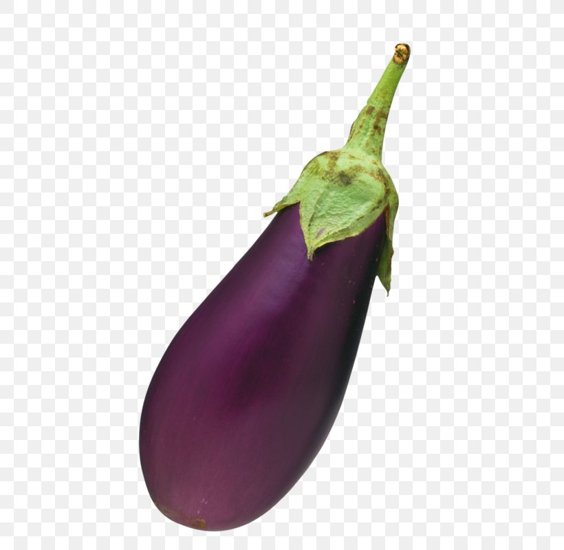 Eggplant Vegetable Clip Art, PNG, 534x800px, Eggplant, Auglis, Drawing, Food, Gratis Download Free
