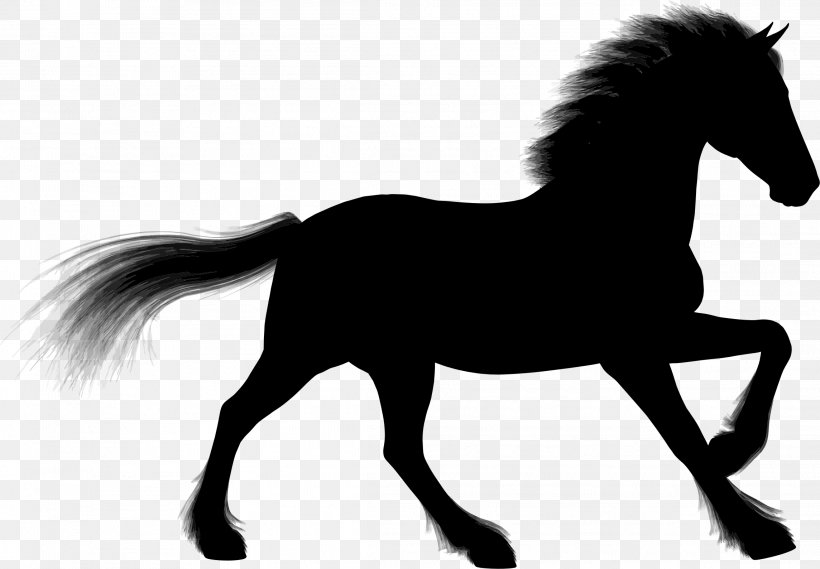 Stallion Arabian Horse Foal Silhouette Clip Art, PNG, 2289x1589px, Stallion, Animal, Animal Figure, Arabian Horse, Art Download Free