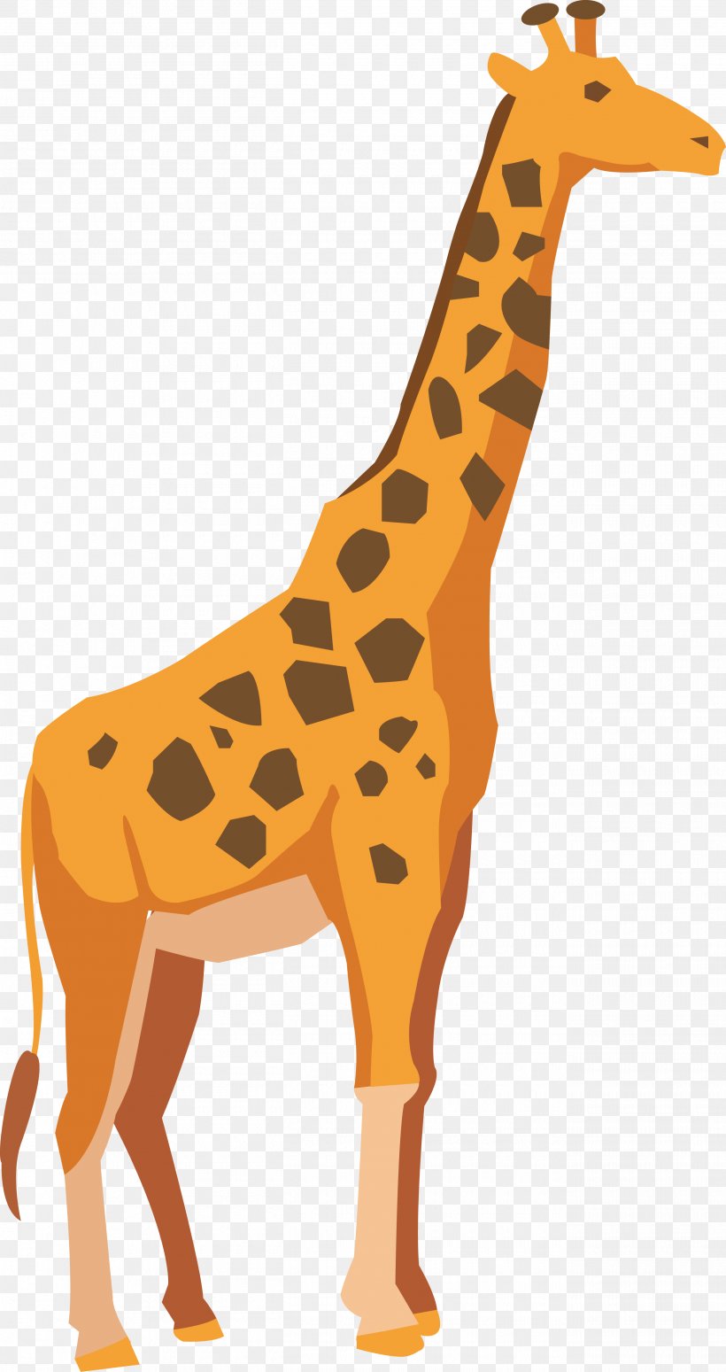 Giraffe Adobe Illustrator Drawing, PNG, 2620x4951px, Giraffe, Animal, Animal Figure, Drawing, Fauna Download Free