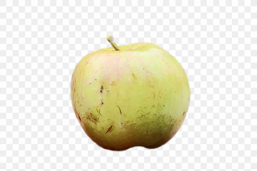 Apple Fruit Apple, PNG, 1920x1280px, Watercolor, Apple, Fruit, Paint, Wet Ink Download Free