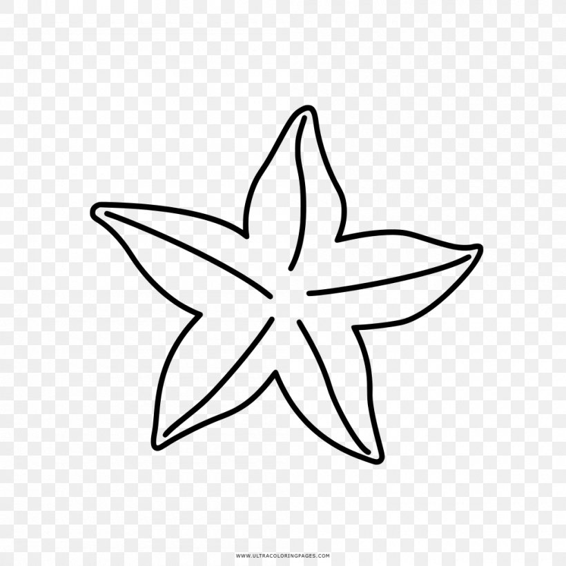 Coloring Book Drawing Starfish Clip Art, PNG, 1000x1000px, Coloring Book, Area, Artwork, Ausmalbild, Black And White Download Free