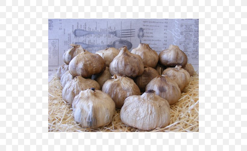 Elephant Garlic Black Garlic France Shallot, PNG, 500x500px, Elephant Garlic, Adierazpen Geografiko Babestua, Biscuits, Black Garlic, Food Download Free