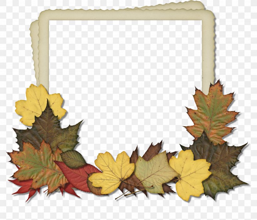 Picture Frames Autumn Scrapbooking Clip Art, PNG, 3071x2639px, Picture Frames, Autumn, Autumn Leaf Color, Decor, Flower Download Free
