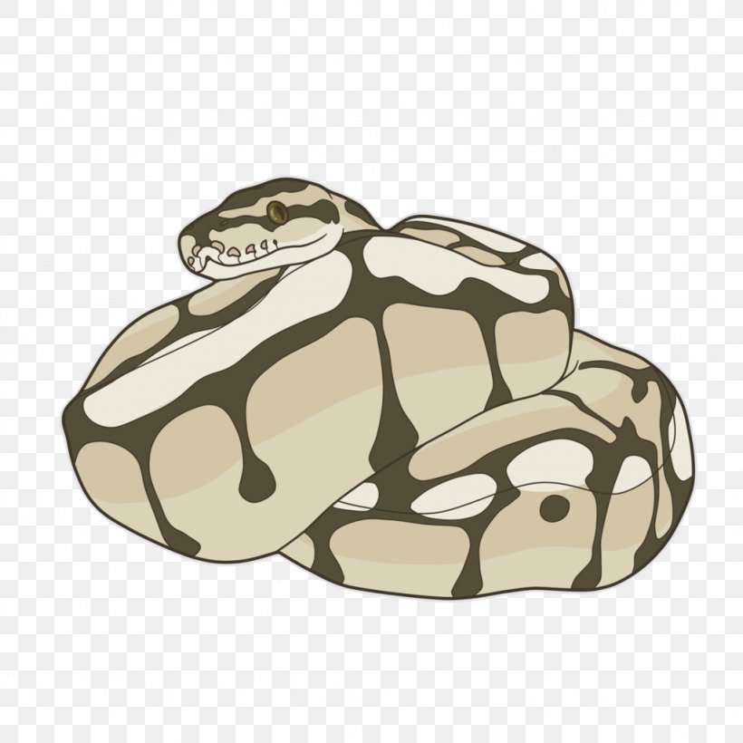 Snake Ball Python Reptile Cartoon African Rock Python, PNG, 1024x1024px,  Snake, African Rock Python, Amphibian, Ball