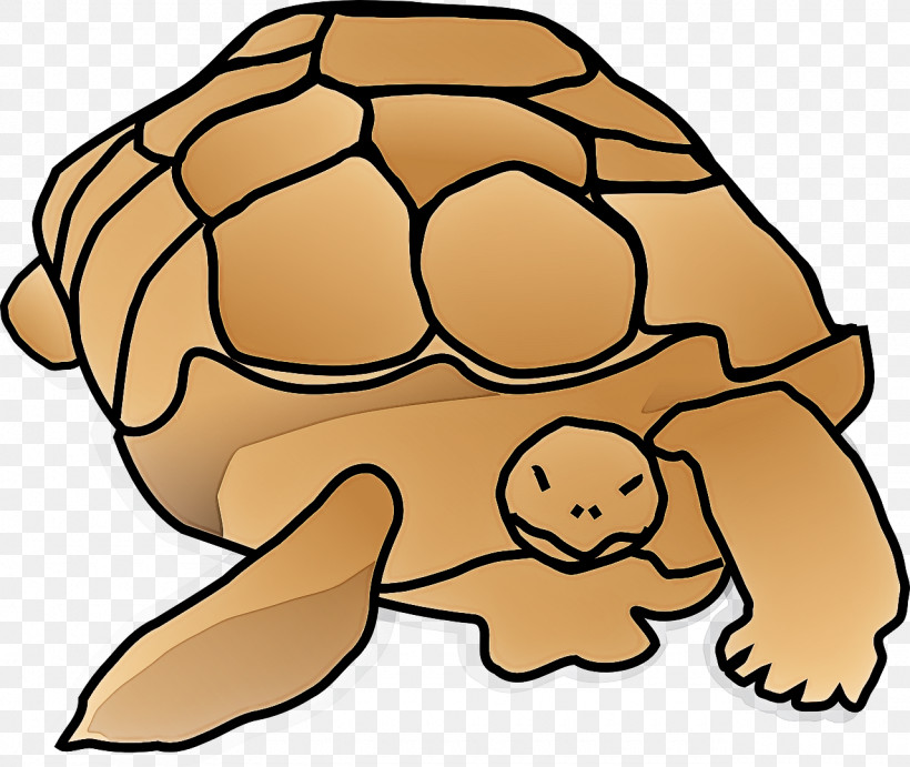 Tortoise Turtles Sea Turtles Snout Tortoise M, PNG, 1280x1079px, Tortoise, Goldfish, Sea, Sea Turtles, Snout Download Free