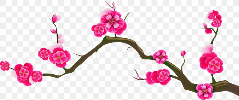 Cherry Blossom, PNG, 3000x1259px, Pink, Blossom, Branch, Cherry Blossom, Flower Download Free