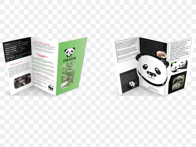Giant Panda Information Brand, PNG, 1024x768px, Giant Panda, Animal, Author, Brand, Brochure Download Free