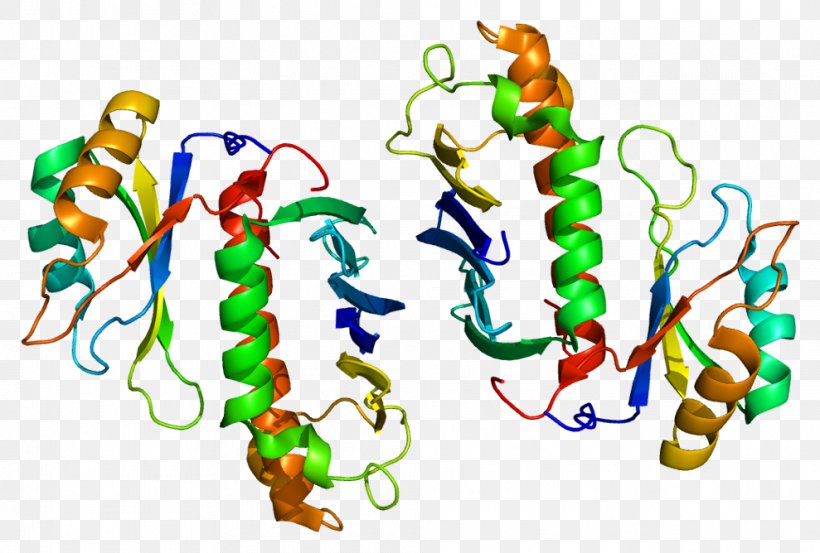 RBM8A Gene MAGOH RNA-binding Protein, PNG, 989x668px, Gene, Animal Figure, Exon Junction Complex, Organism, Protein Download Free