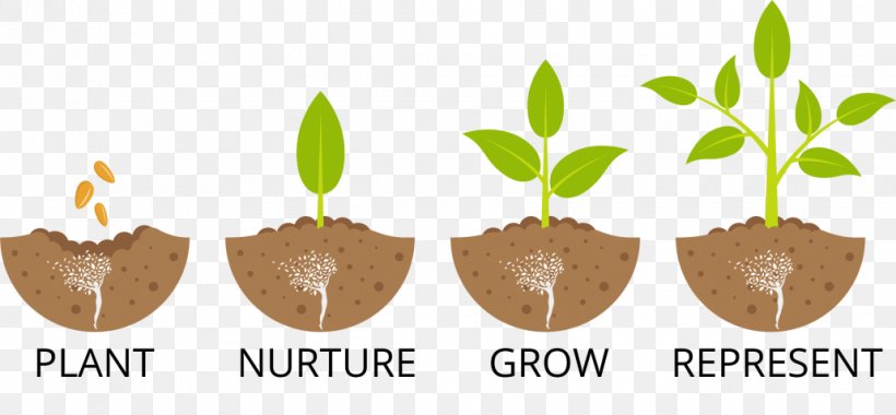 Seedling Sowing Tree Planting, PNG, 1030x478px, Seed, Agriculture, Flat Design, Flowerpot, Germination Download Free