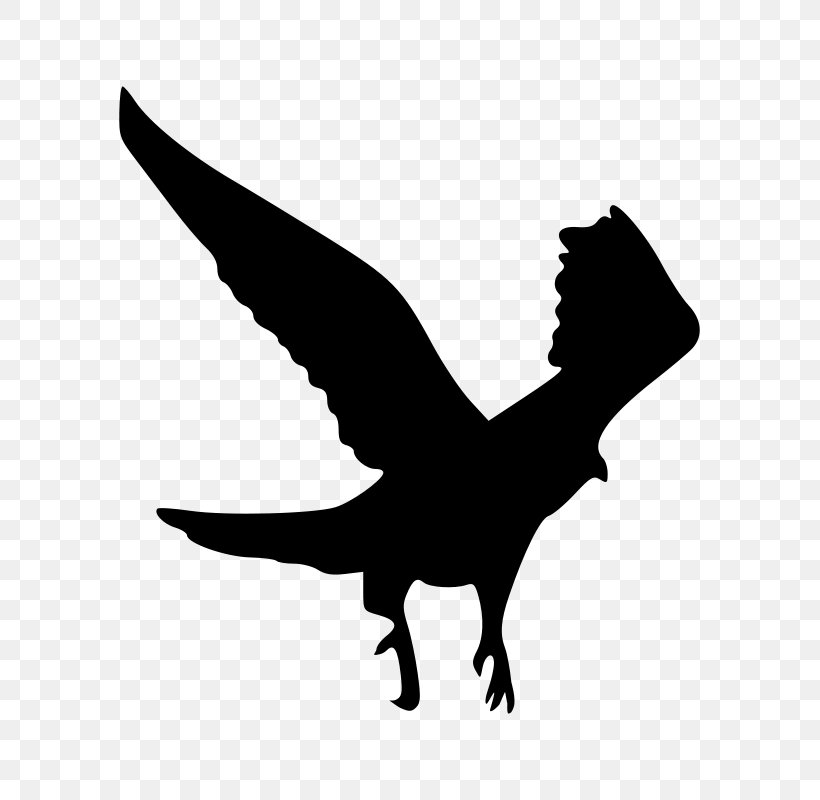 Silhouette Eagle Clip Art, PNG, 751x800px, Silhouette, Art, Beak, Bird, Bird Of Prey Download Free