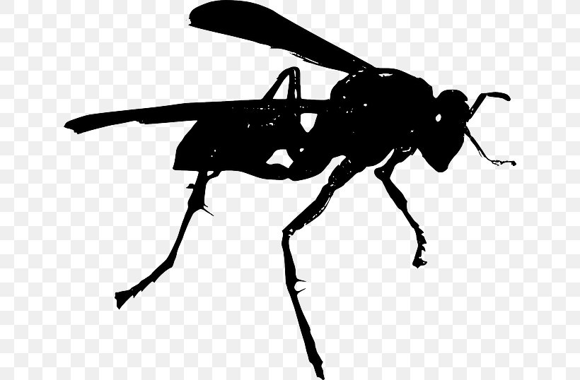 Bee Hornet Wasp Clip Art, PNG, 640x538px, Bee, Ant, Arthropod, Black And White, Fly Download Free