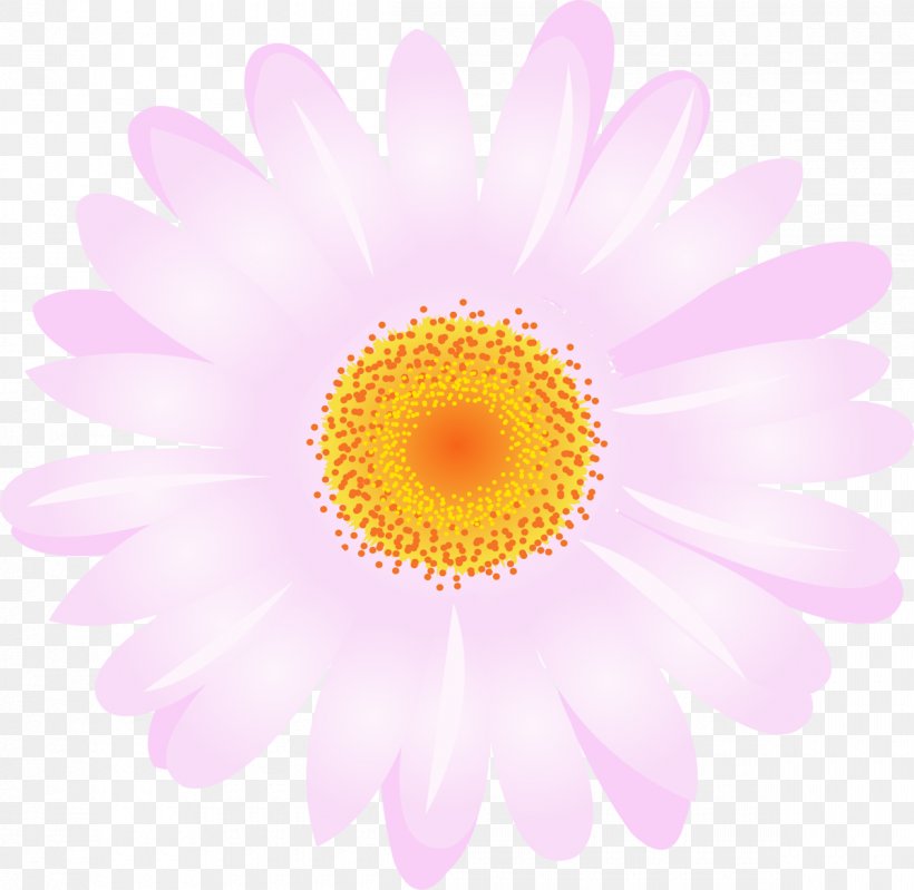 Daisy Family Chrysanthemum Argyranthemum Frutescens Transvaal Daisy Flower, PNG, 1200x1170px, Daisy Family, Argyranthemum Frutescens, Aster, Chrysanthemum, Chrysanths Download Free