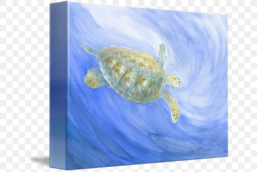 Loggerhead Sea Turtle Marine Biology Marine Mammal, PNG, 650x549px, Loggerhead Sea Turtle, Biology, Curtain, Douchegordijn, Fauna Download Free