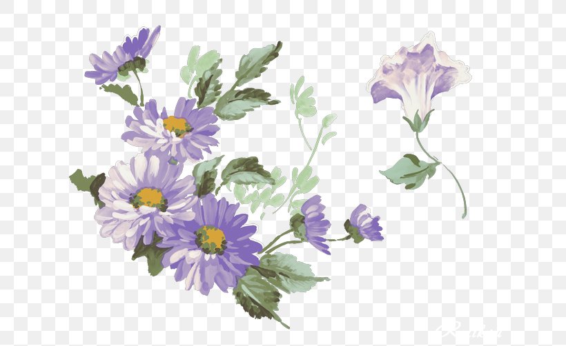 Flower Watercolor Painting Plate-bande Clip Art, PNG, 670x502px, Flower, Annual Plant, Aster, Chrysanths, Color Download Free