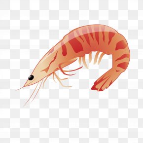 Krill Images, Krill Transparent PNG, Free download