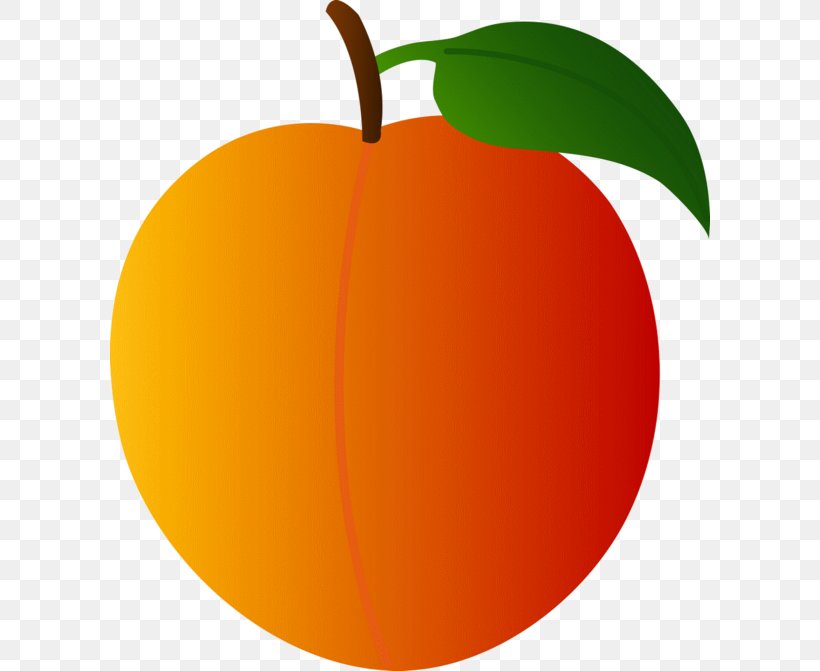 Peach Clip Art, PNG, 600x671px, Peach, Apple, Apricot, Art, Citrus Download Free