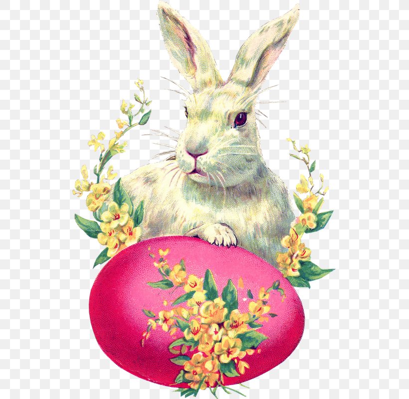 Easter Bunny Easter Postcard Rabbit Easter Egg, PNG, 529x800px, Easter Bunny, Christmas, Domestic Rabbit, Easter, Easter Egg Download Free