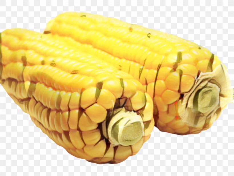 Vegetable Cartoon, PNG, 1023x768px, Corn On The Cob, Commodity, Corn, Corn Kernels, Cuisine Download Free