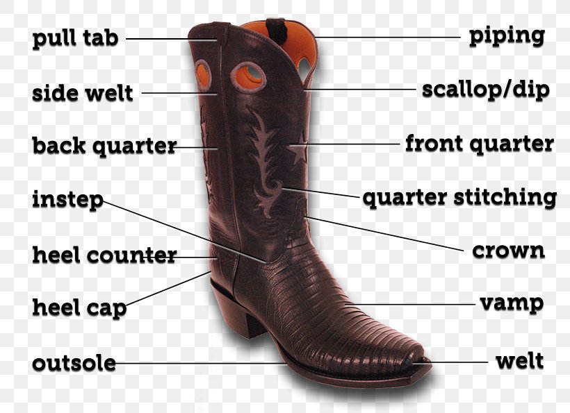 Riding Boot Cowboy Boot Shoe Product Design, PNG, 800x595px, Riding Boot, Boot, Cowboy, Cowboy Boot, Equestrian Download Free