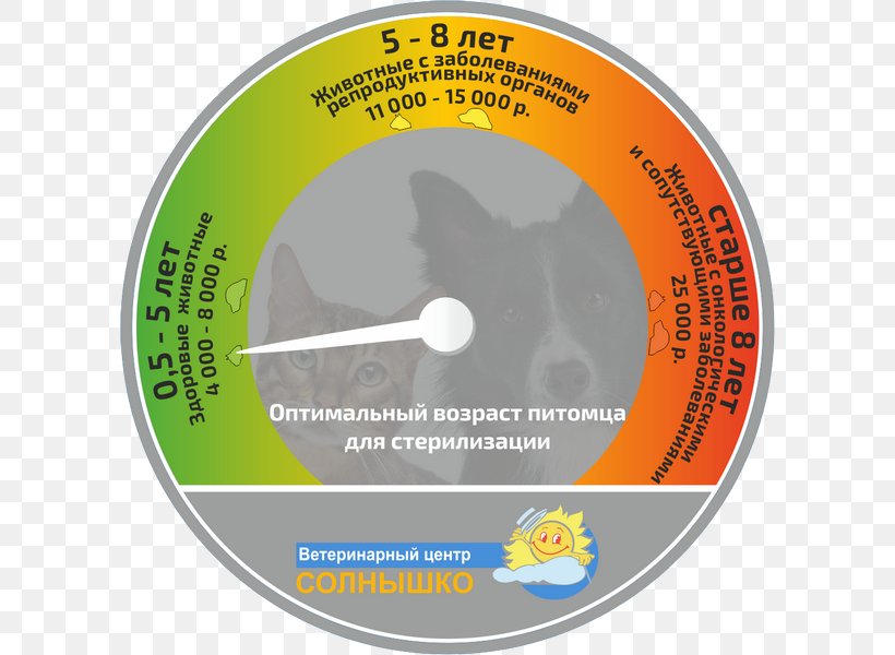 Solnyshko Sterilization Compact Disc Castration Science, PNG, 600x600px, Solnyshko, Age, Castration, Compact Disc, Kazan Download Free