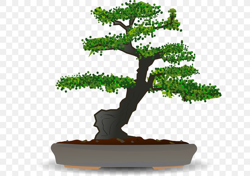 Bonsai Sageretia Theezans Tree Clip Art, PNG, 640x577px, Bonsai, Flowerpot, Houseplant, Plant, Public Domain Download Free