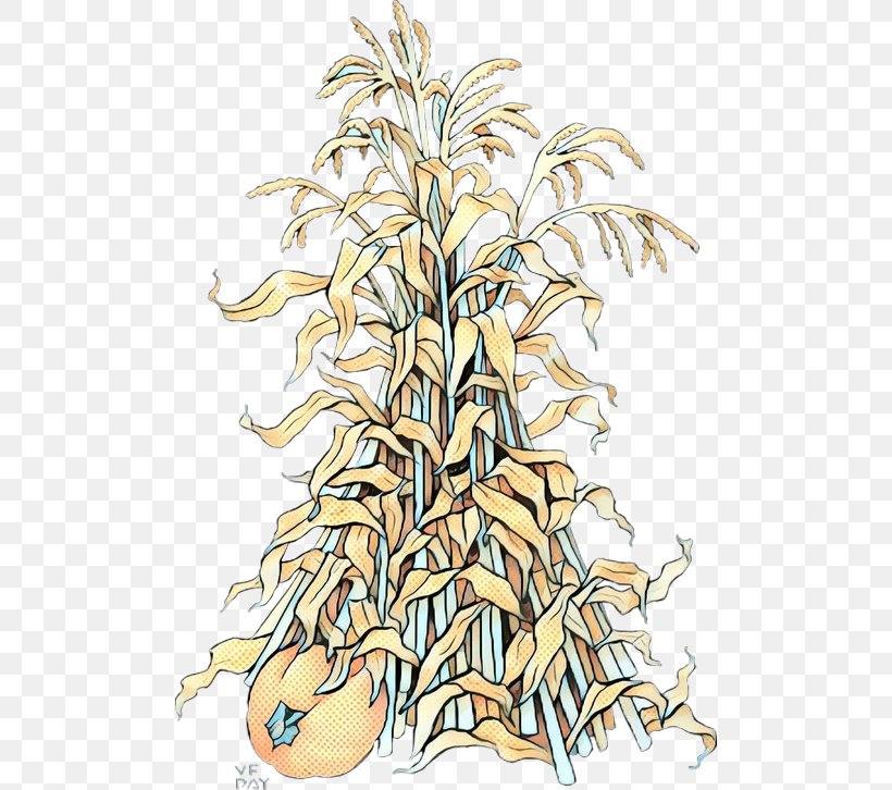 Cartoon Palm Tree, PNG, 498x726px, Grasses, Commodity, Flower, Grass, Grass Family Download Free