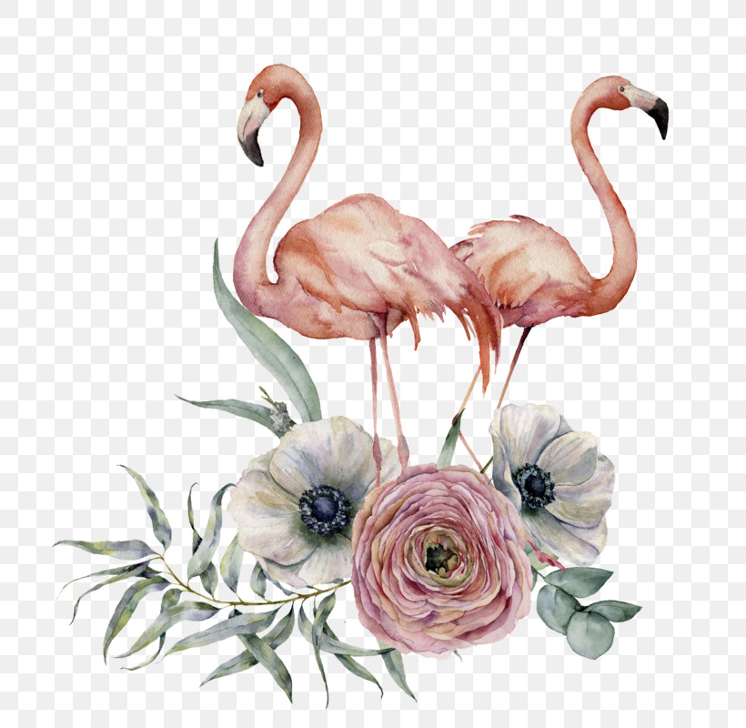 Flamingo, PNG, 714x800px, Flamingo, Bird, Flower, Greater Flamingo, Pink Download Free