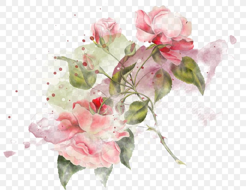 Centifolia Roses Garden Roses Flower Still Life Photography, PNG, 800x633px, Centifolia Roses, Artificial Flower, Azalea, Blossom, Branch Download Free