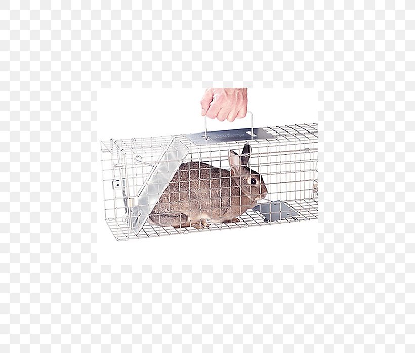 Hare Squirrel Trapping Rabbit Cage, PNG, 698x698px, Hare, Animal, Animal Control And Welfare Service, Cage, Eastern Gray Squirrel Download Free