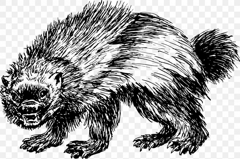 Printed T-shirt Wolverine Top, PNG, 2400x1590px, Tshirt, Beaver, Black And White, Carnivoran, Domesticated Hedgehog Download Free