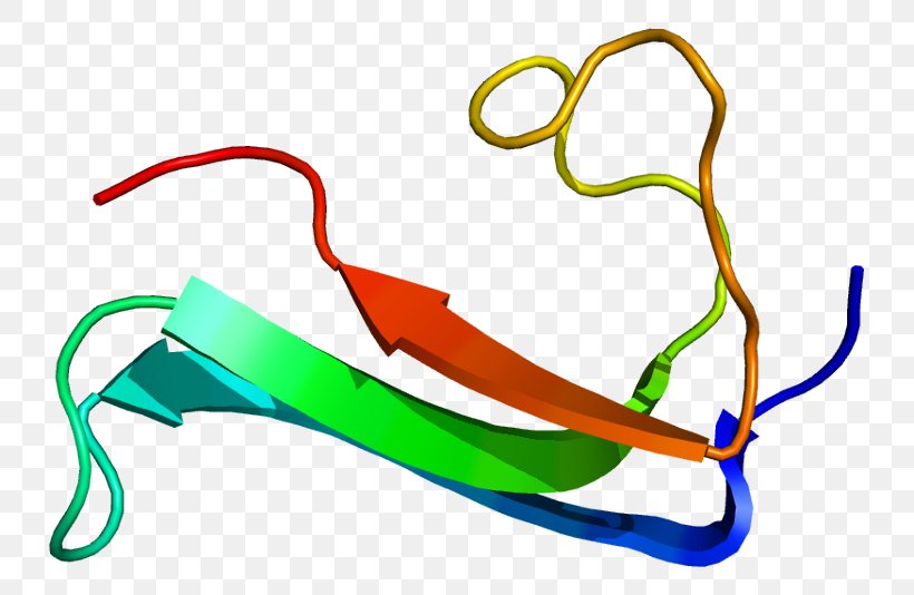 Midkine Protein Pleiotrophin Gene Heparin, PNG, 781x534px, Watercolor, Cartoon, Flower, Frame, Heart Download Free