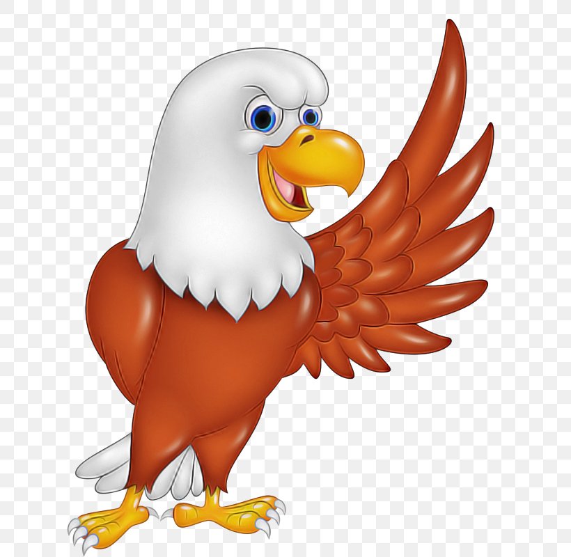 Bird Bald Eagle Eagle Beak Accipitridae, PNG, 632x800px, Bird, Accipitridae, Animal Figure, Bald Eagle, Beak Download Free