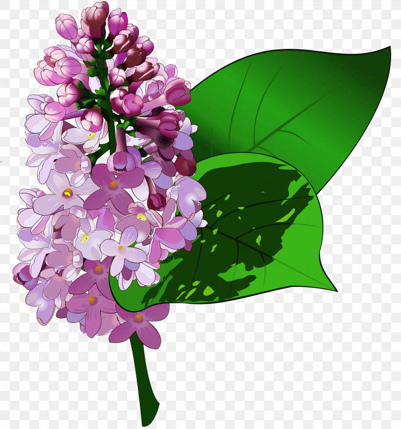 Flower Lilac Plant Lilac Purple, PNG, 2800x3000px, Flower, Cut Flowers, Lilac, Petal, Plant Download Free