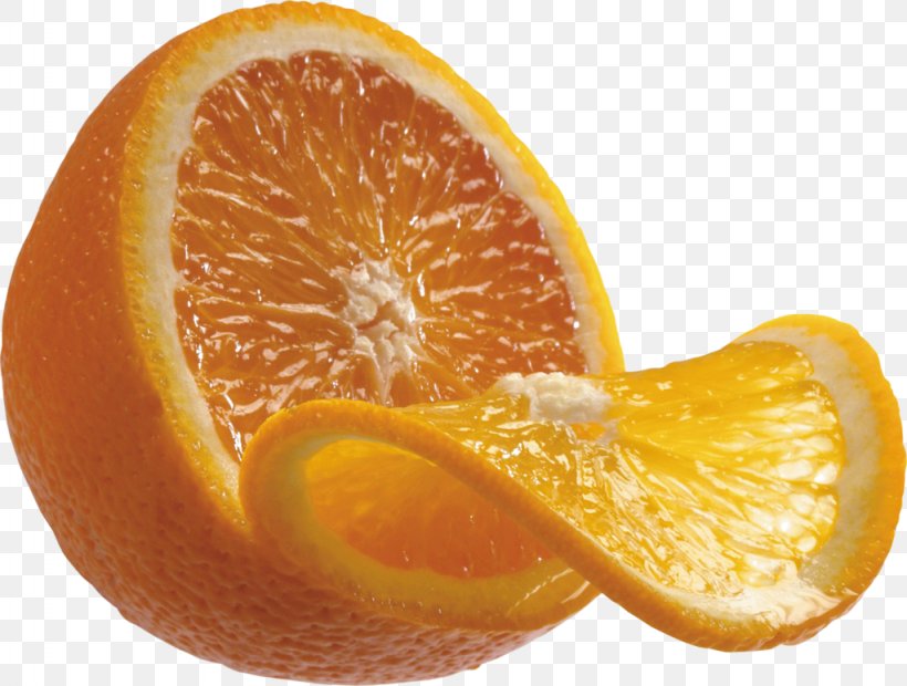Orange Clip Art Citrus Fruit, PNG, 1024x775px, Orange, Bitter Orange, Citric Acid, Citron, Citrus Download Free