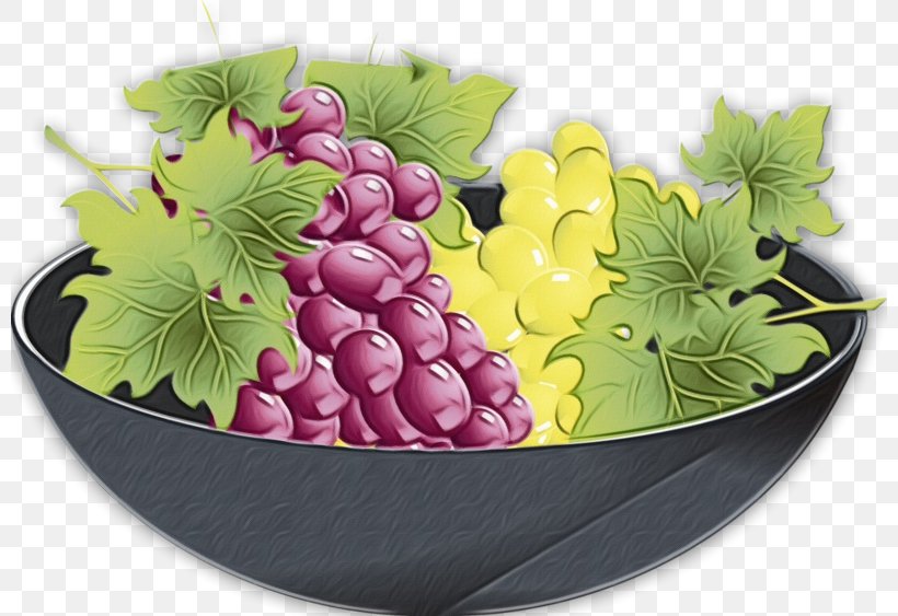 Grape Grapevine Family Grape Leaves Fruit Plant, PNG, 800x563px, Watercolor, Food, Fruit, Grape, Grape Leaves Download Free