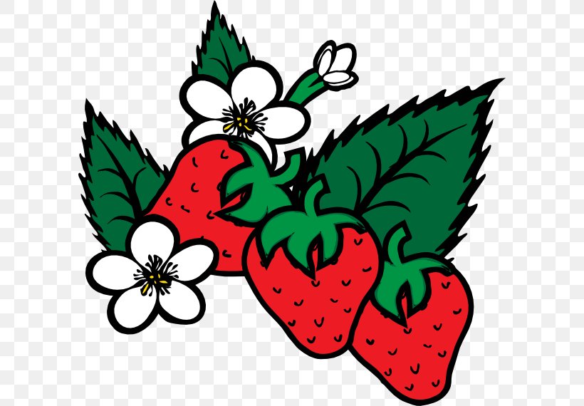 Virginia Strawberry Shortcake Coloring Book Fruit, PNG, 600x570px, Strawberry, Art, Artwork, Candy, Color Download Free