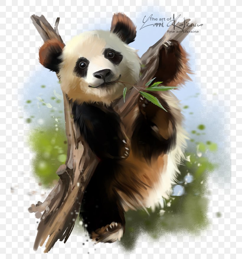 Giant Panda Paper Red Panda Watercolor Painting, PNG, 748x878px, Giant Panda, Ailuropoda, Art, Bear, Carnivoran Download Free