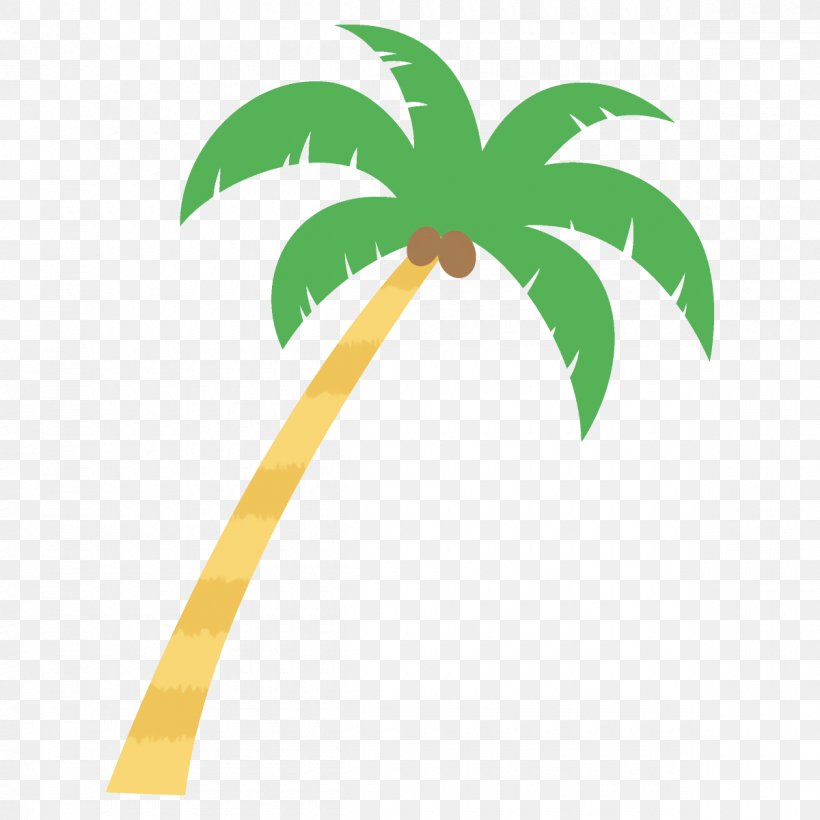 Palm Tree, PNG, 1200x1200px, Leaf, Arecales, Green, Palm Tree, Plant Download Free