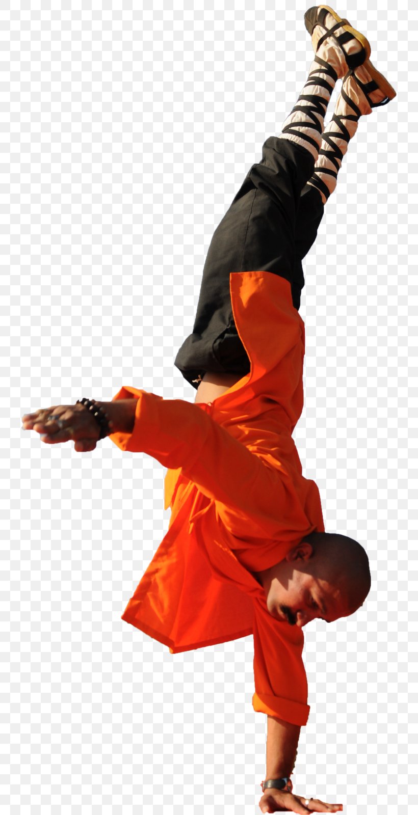 Shaolin Monastery India Shaolin Kung Fu Shifu, PNG, 737x1600px, Shaolin Monastery, Commando, Dancer, Grandmaster, Hip Hop Dance Download Free