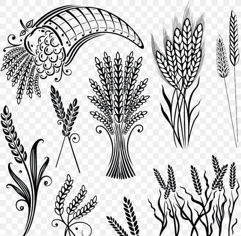 Cereal Wheat Grain Illustration, PNG, 1013x991px, Cereal, Black And White, Branch, Commodity, Drawing Download Free