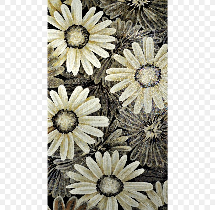 Chrysanthemum Transvaal Daisy, PNG, 800x800px, Chrysanthemum, Chrysanths, Daisy Family, Flora, Flower Download Free