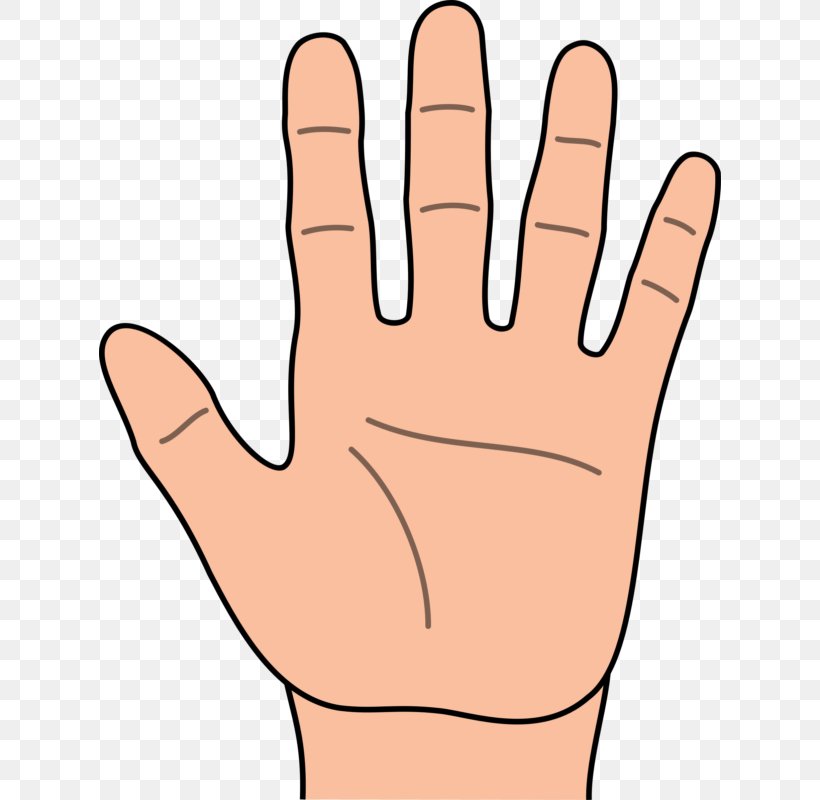 Clip Art Hand Image Free Content, PNG, 622x800px, Hand, Arm, Cartoon, Drawing, Face Download Free