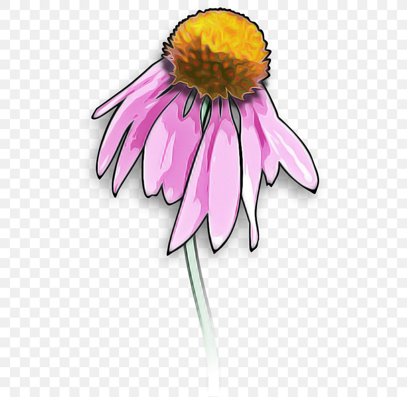 Drawing Flower, PNG, 536x800px, Drawing, Flower Download Free
