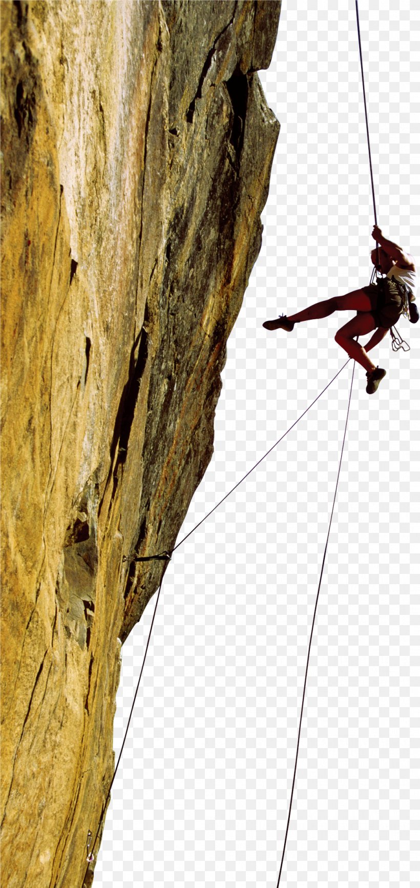 Fisiologia Do Exercicio, PNG, 1049x2217px, Exercise Physiology, Abseiling, Adventure, Belay Device, Book Download Free