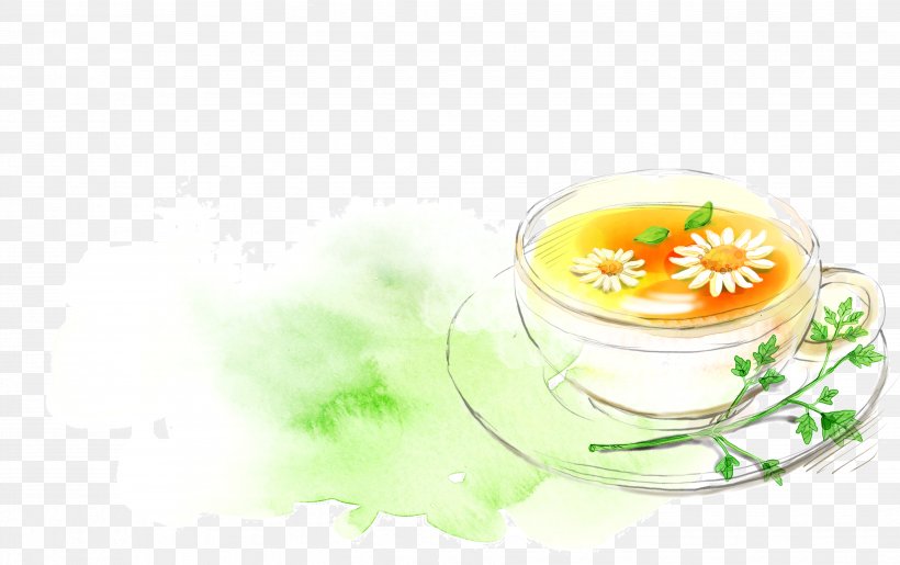 Flowering Tea Chrysanthemum Tea Green Tea, PNG, 3671x2306px, Tea, Chrysanthemum, Chrysanthemum Tea, Cup, Dish Download Free
