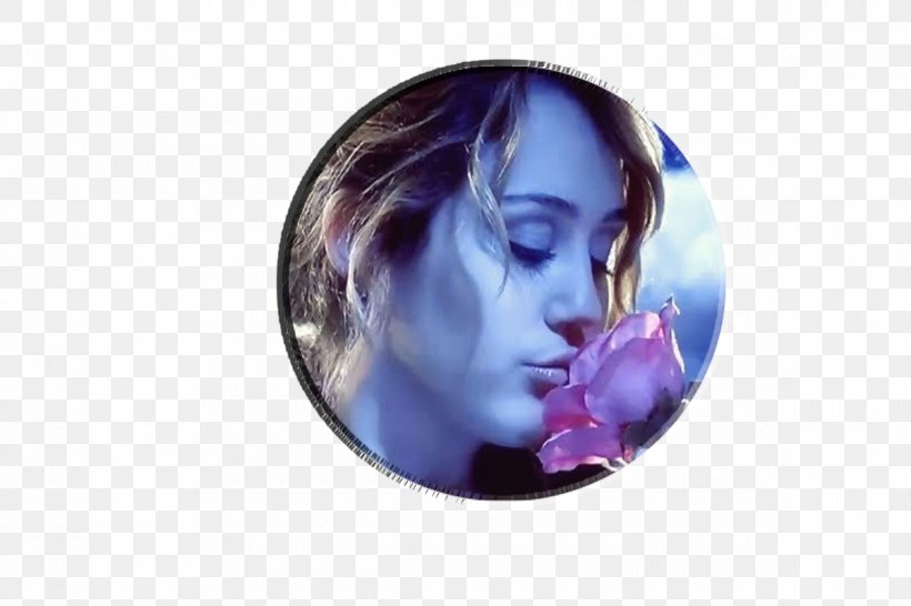 Miley Cyrus The Last Song The Climb Can't Be Tamed, PNG, 1200x800px, Watercolor, Cartoon, Flower, Frame, Heart Download Free