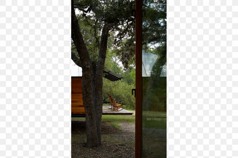 Tree Window Landscape Wood /m/083vt, PNG, 1000x667px, Tree, Flora, Grass, Landscape, Outdoor Structure Download Free